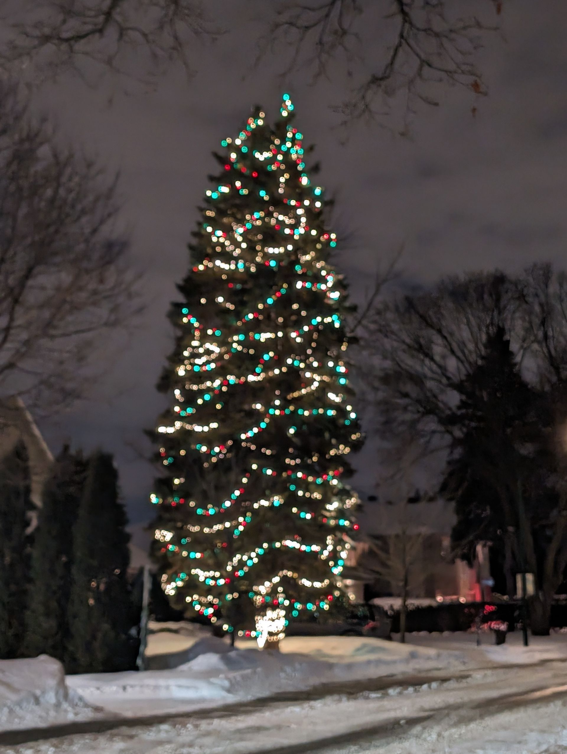 A large christmas tree is lit up in the snow