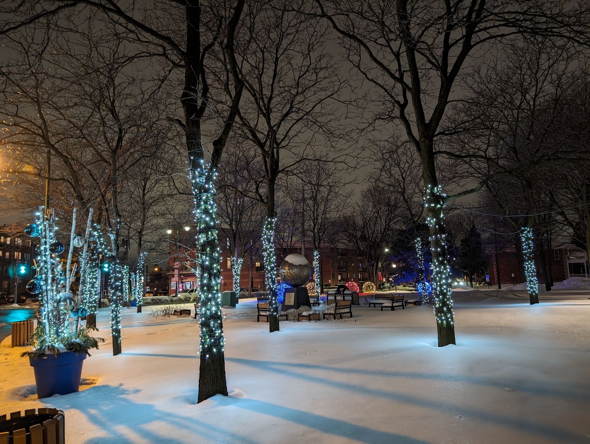 A park with trees decorated with christmas lights at night