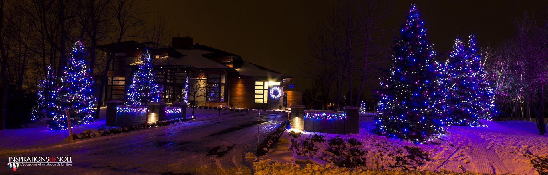 A house is decorated with christmas lights and trees are lit up at night.