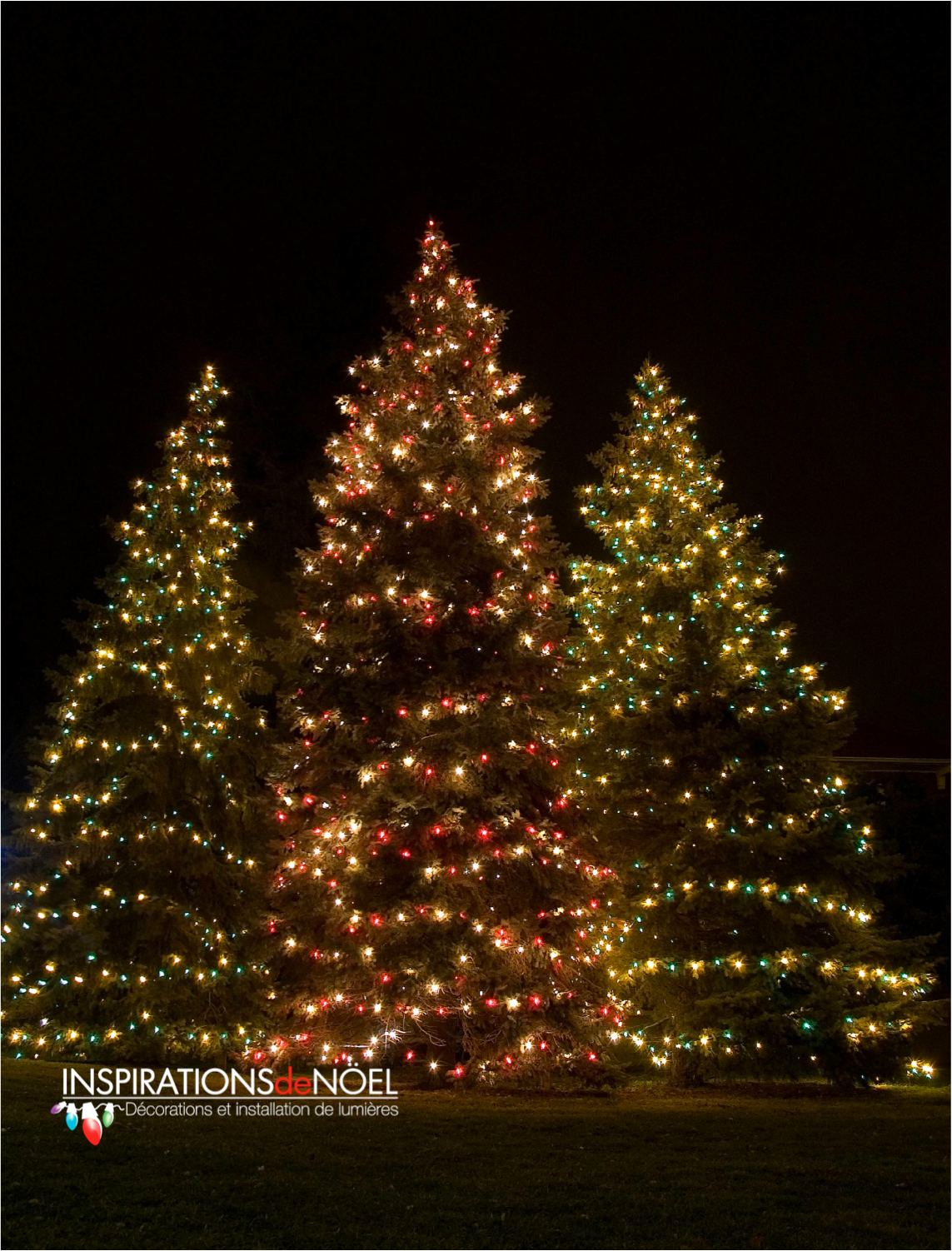 Three christmas trees are lit up with red and green lights