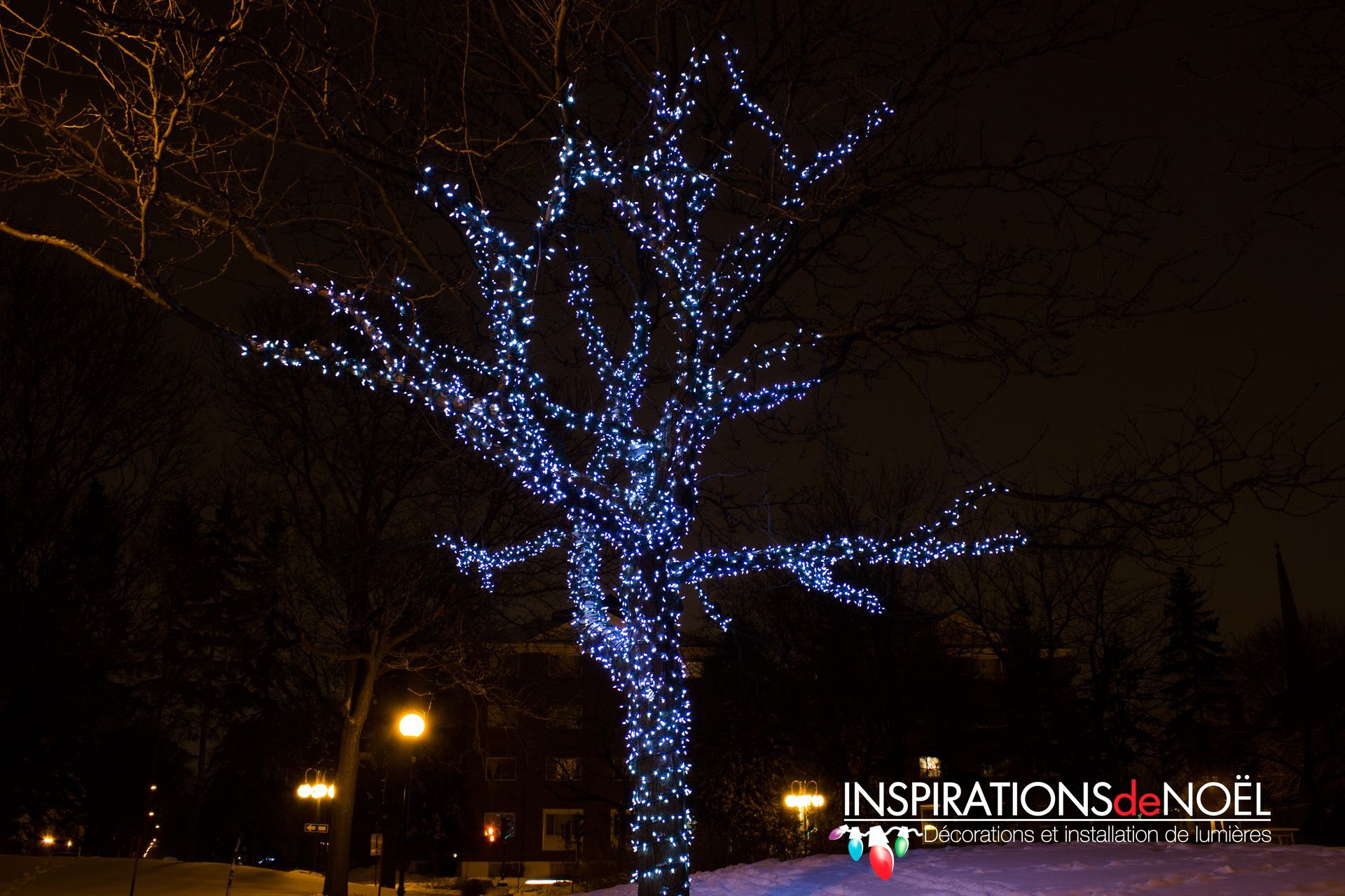 A tree is decorated with blue lights and says inspirations de noel on the bottom