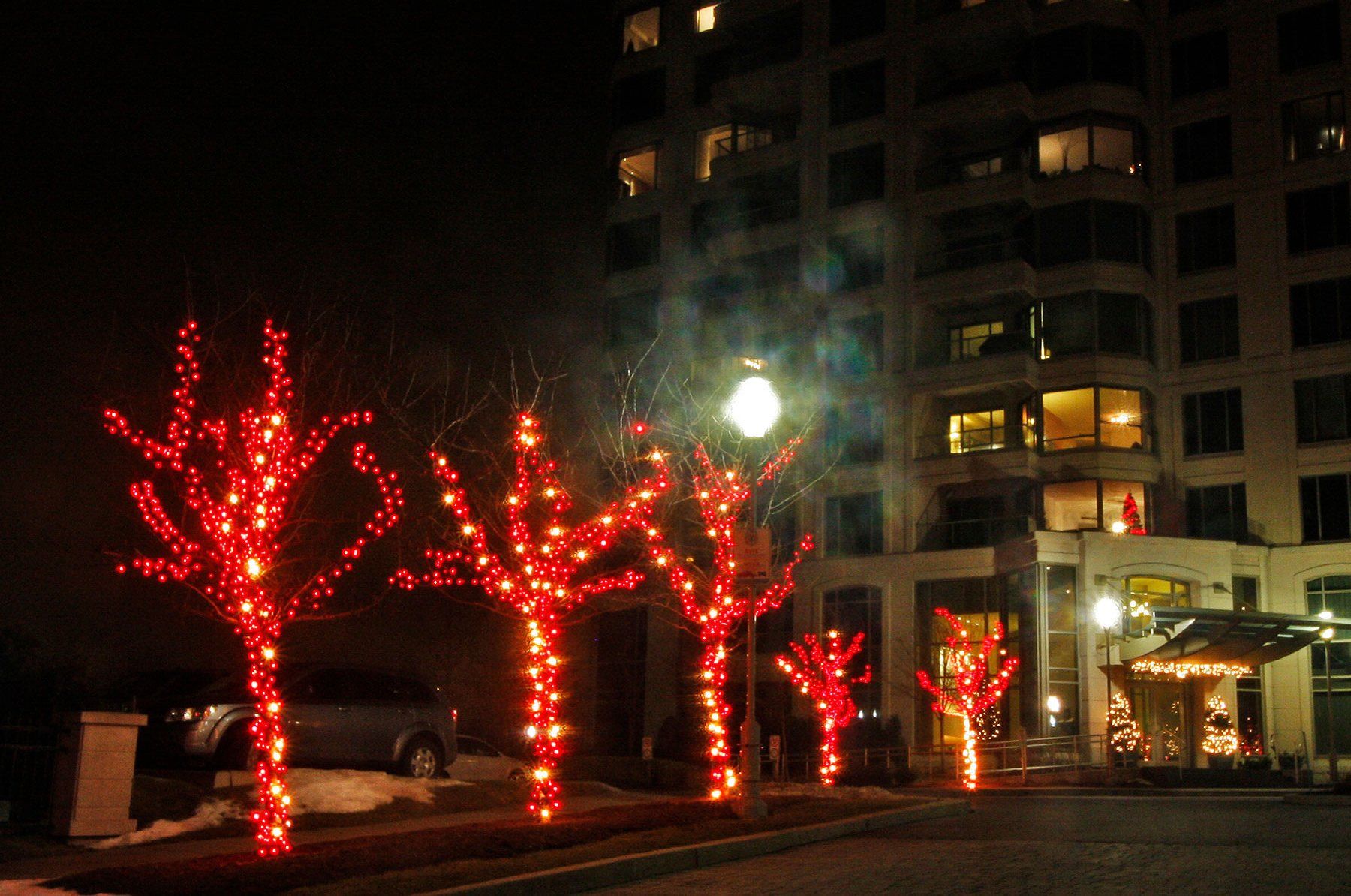 Une rangée d'arbres décorés de lumières rouges devant un bâtiment la nuit.