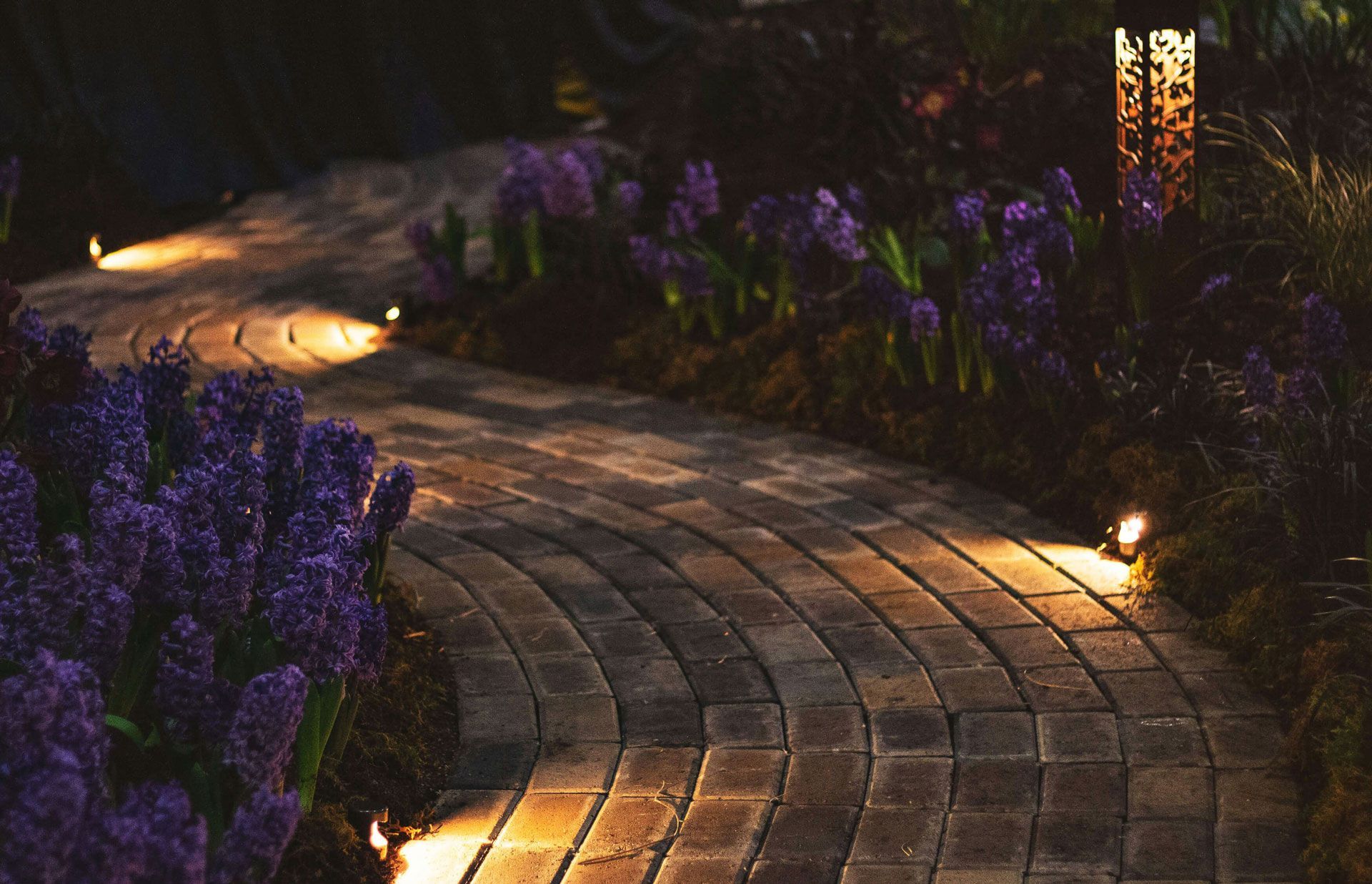Brick pathway winding through a garden with purple flowers, illuminated by warm lights at night.