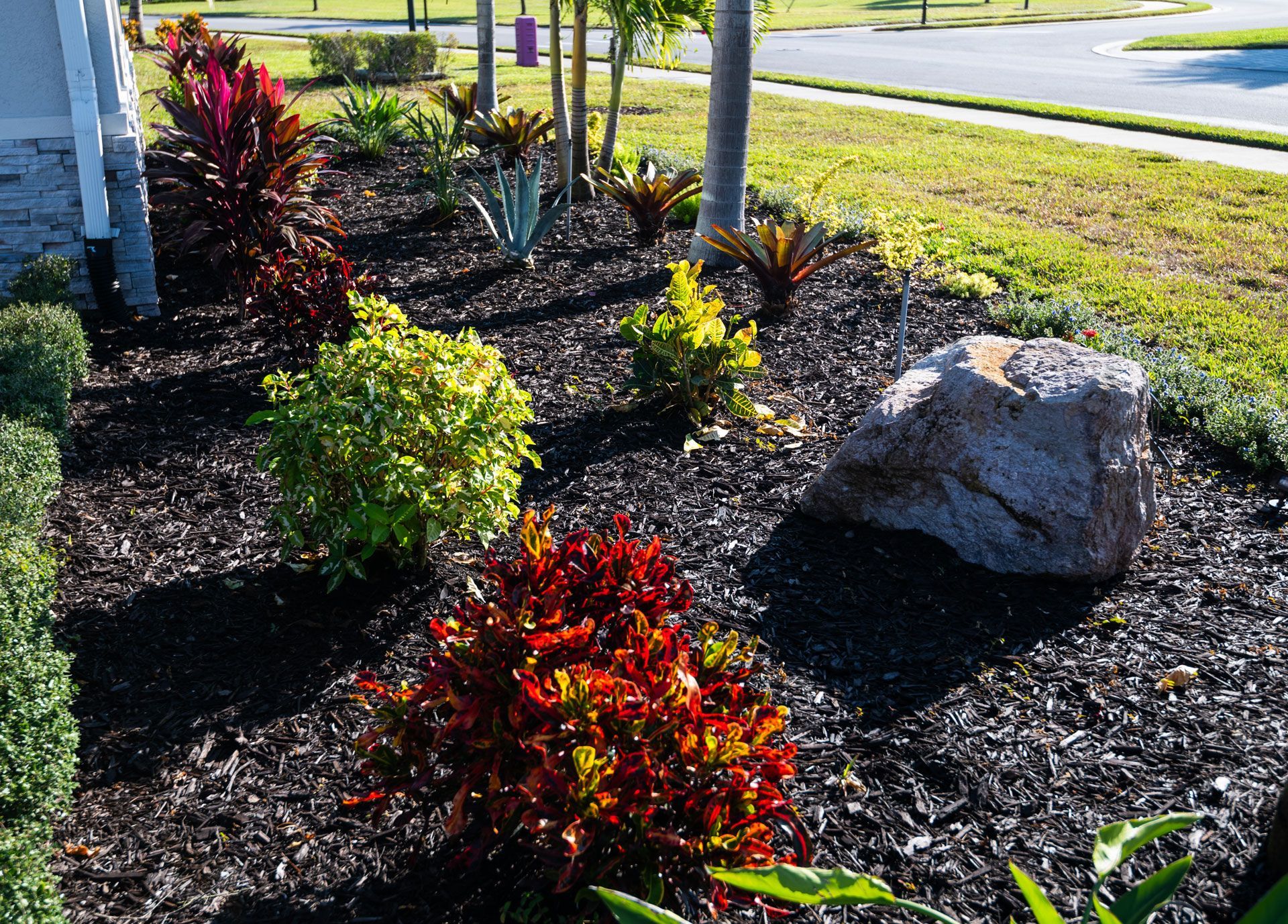 Landscaped garden bed with colorful shrubs, black mulch, and a large rock beside a sidewalk.