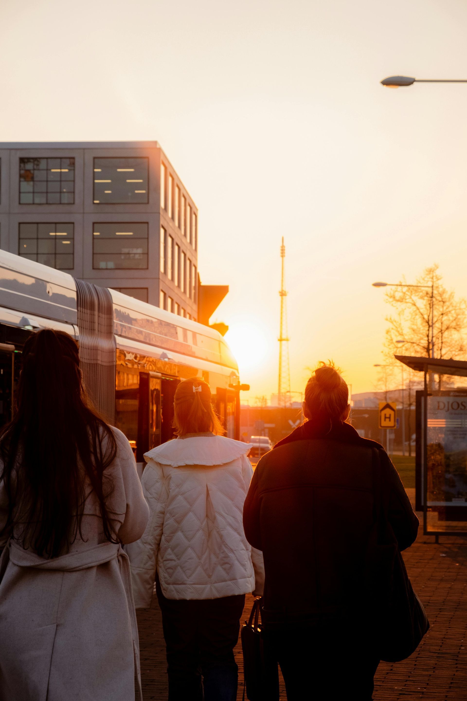Silhouette of a cross with a white dove in flight against a sunset.