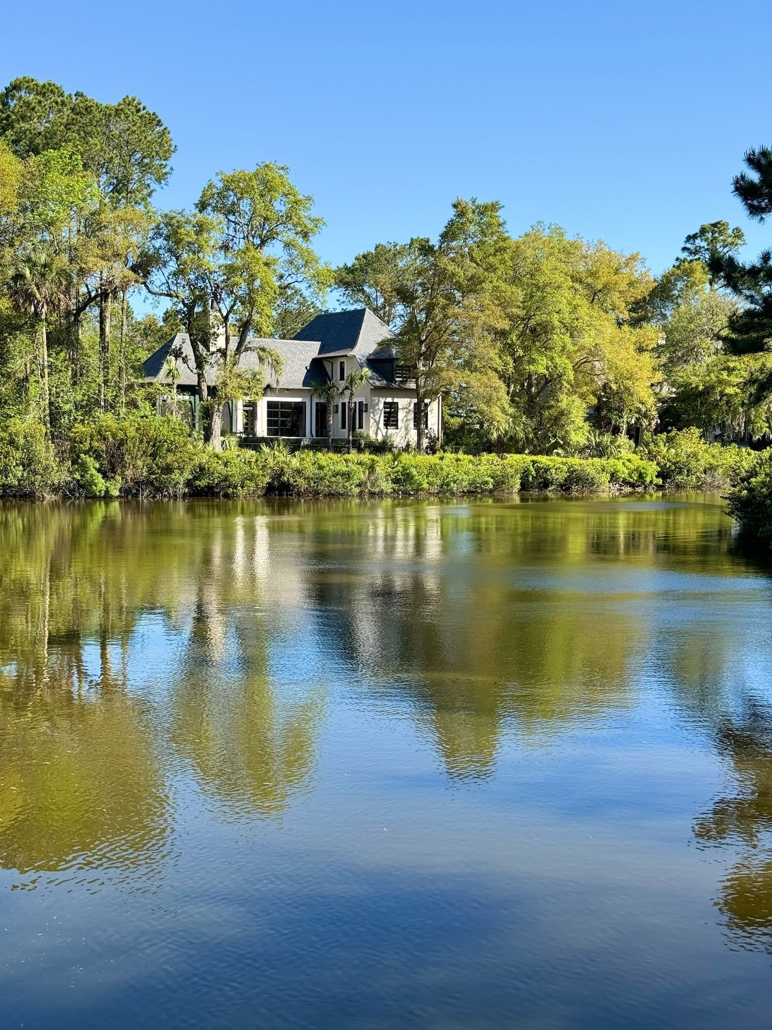 Lake and Pond Management