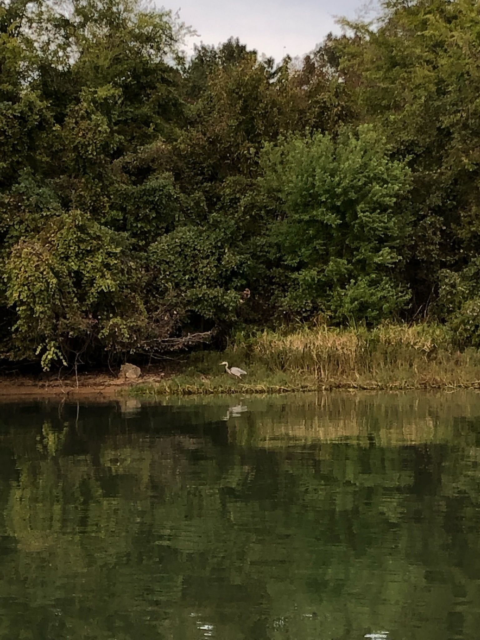 Lake and Pond Management