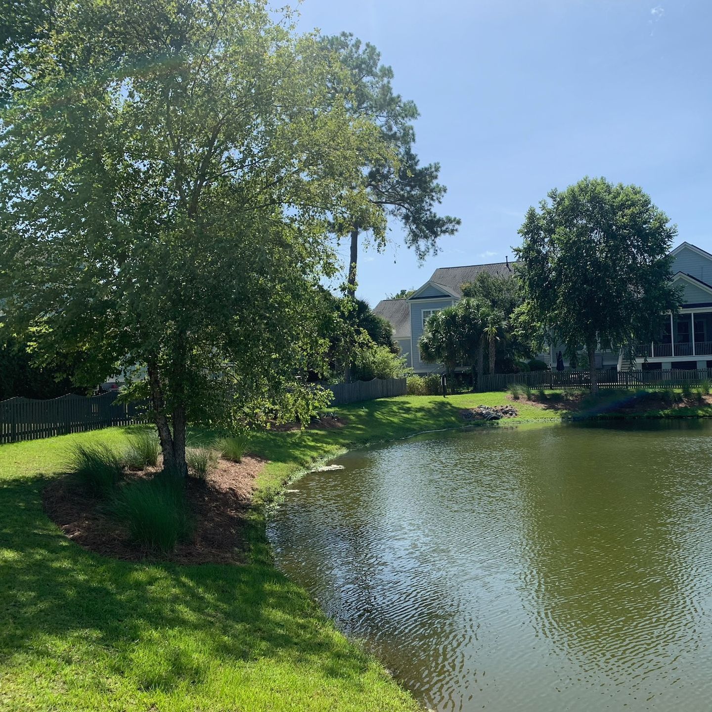 Lakeside view with green grass, trees, and houses under a clear blue sky.