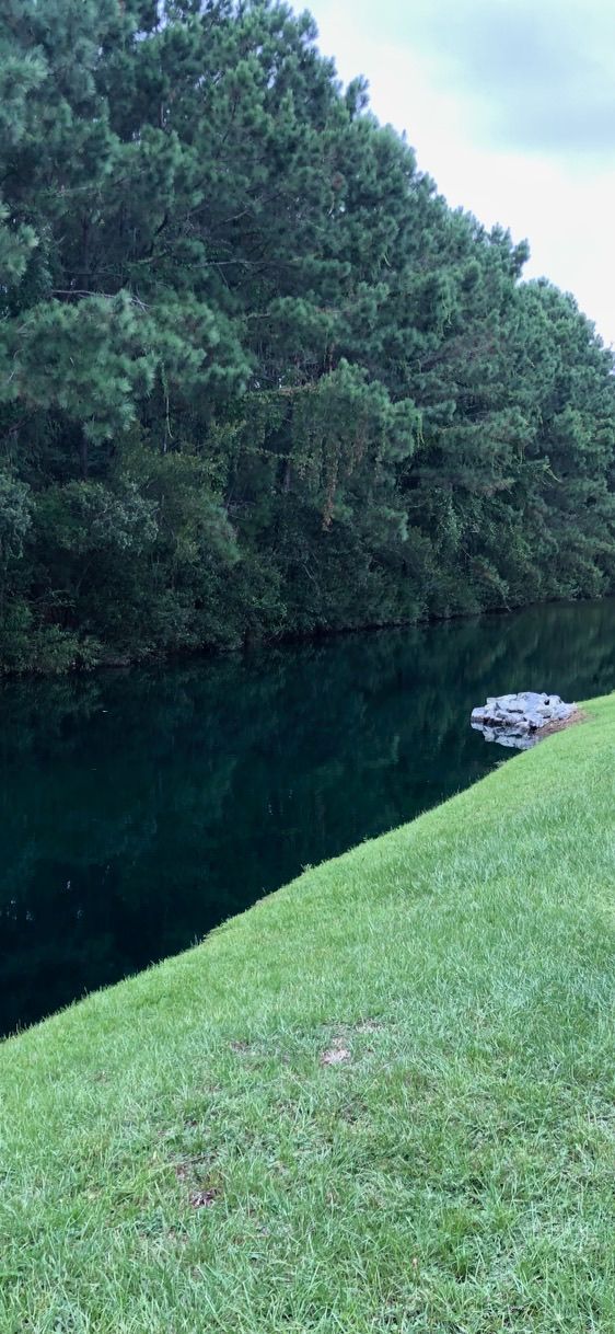 Lake and Pond Management