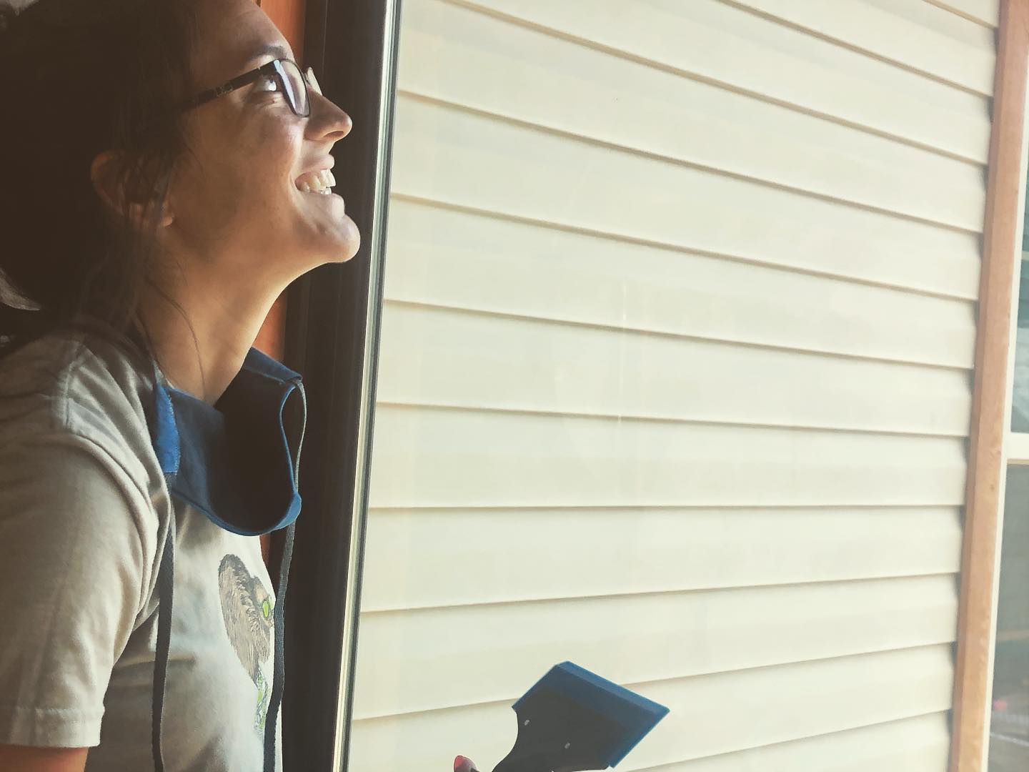 window tinting Fairview NC