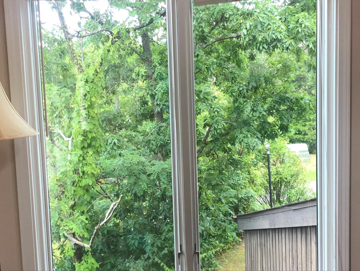 Home window tinting Asheville NC