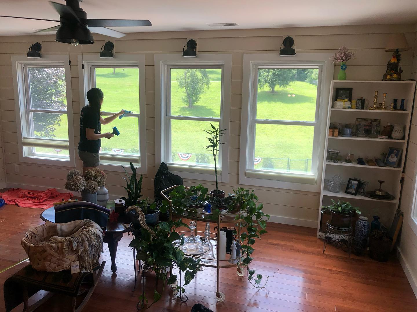 window tinting Royal Pines NC