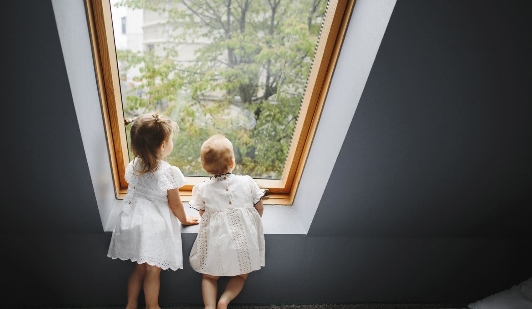 solar control window film