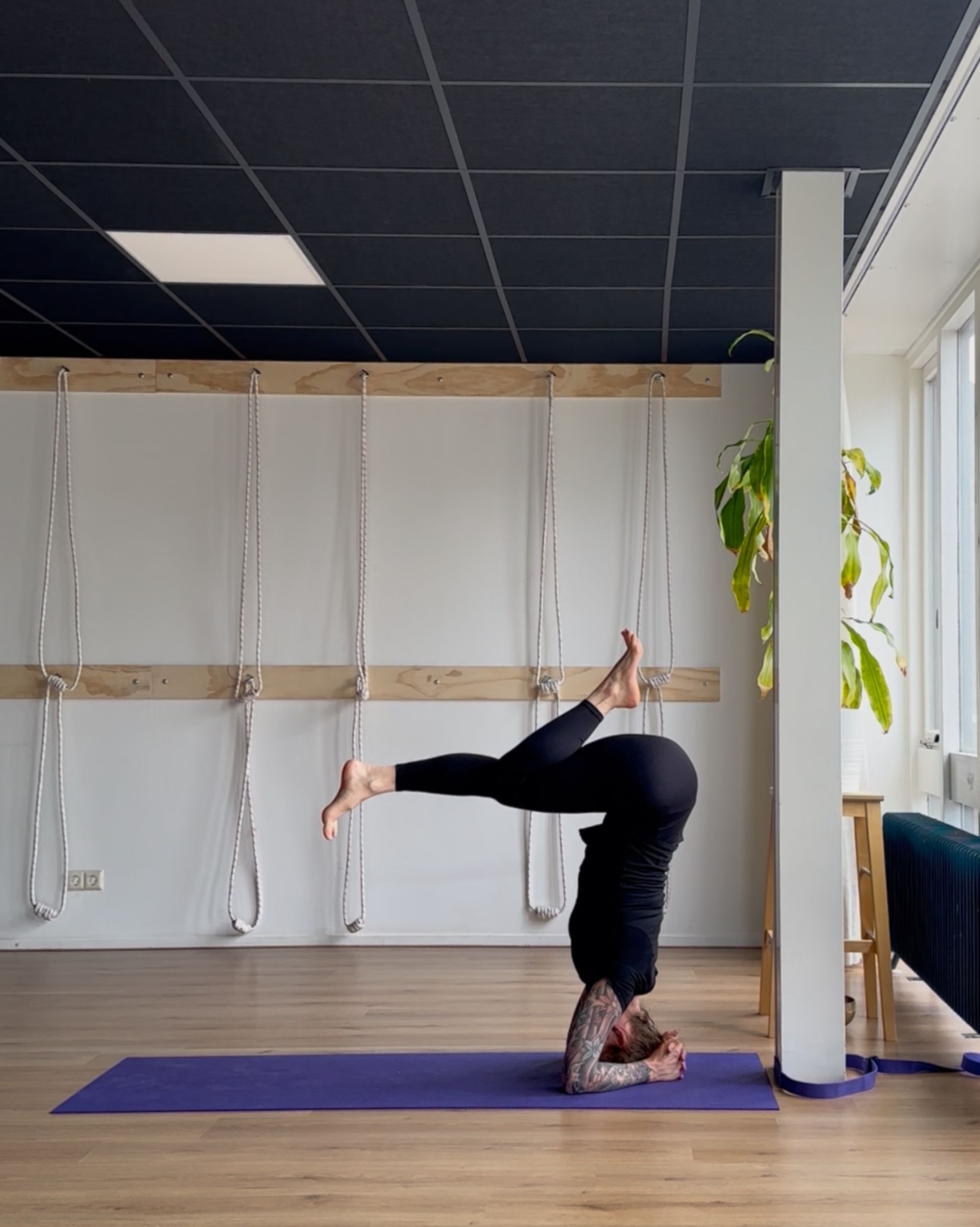 Salamba sirsasana, kopstand,  met beenvariatie voor  een intensieve verlenging van de rugspieren 