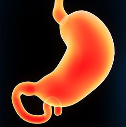 DR. ROGELIO LARA ZAVALA - La cirugía de la vesícula biliar