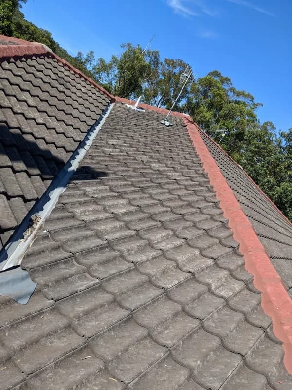 Bricks Roofing (Before)  - Roofing Specialist in Port Stephens, NSW