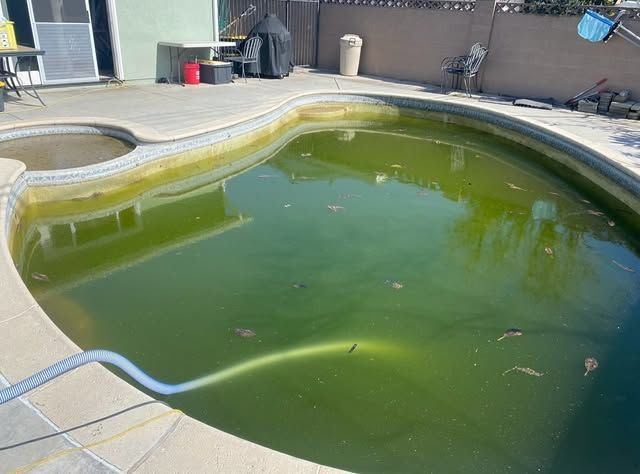 A swimming pool with a lot of green algae in it.