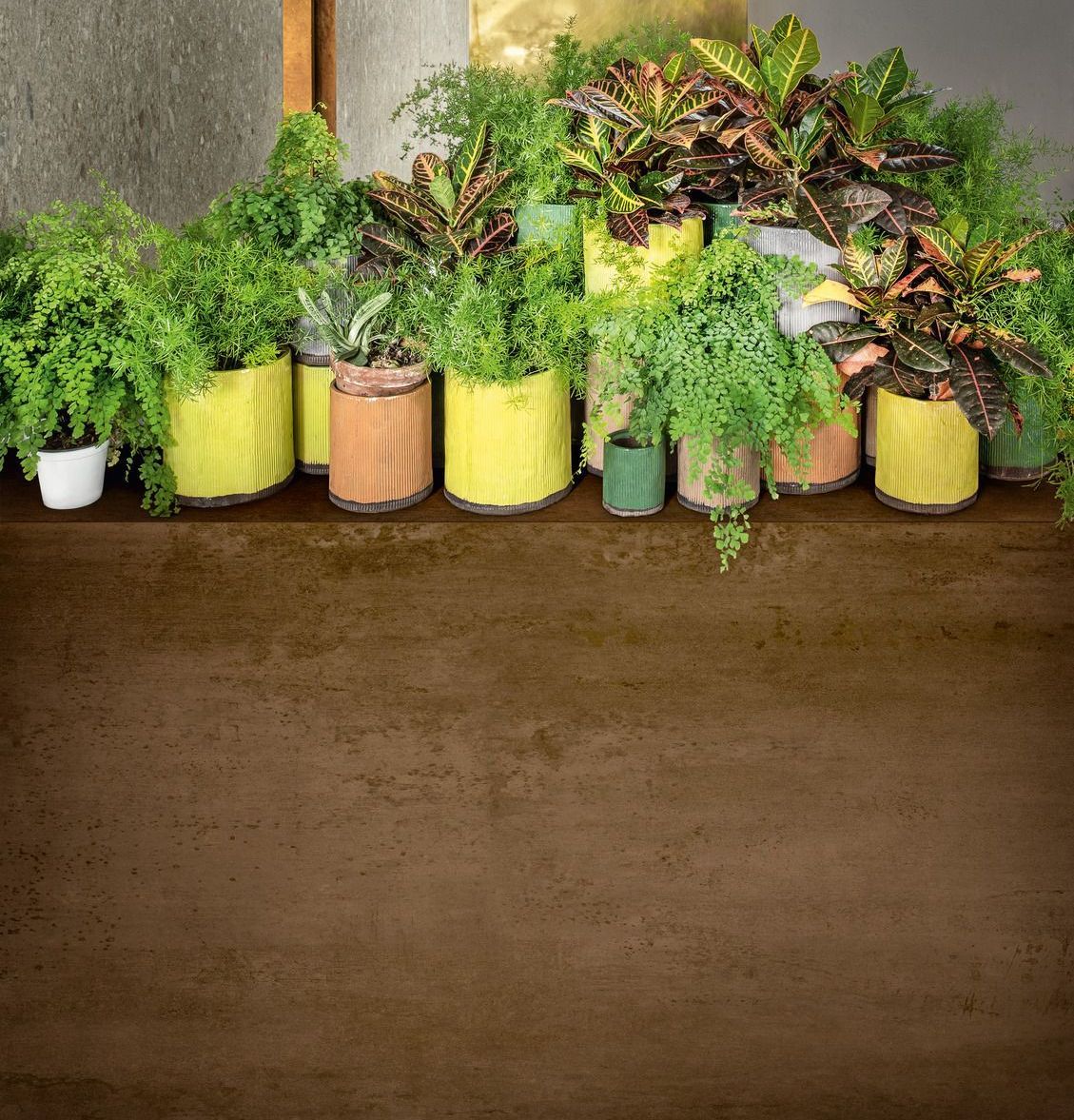 Un mucchio di piante in vaso sono appoggiate su un tavolo.