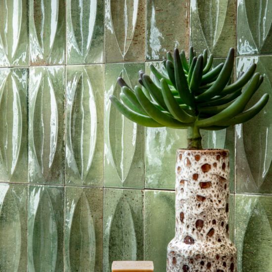 Una pianta in un vaso è appoggiata su un tavolo davanti a una parete piastrellata verde.