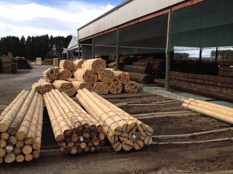 View of construction poles