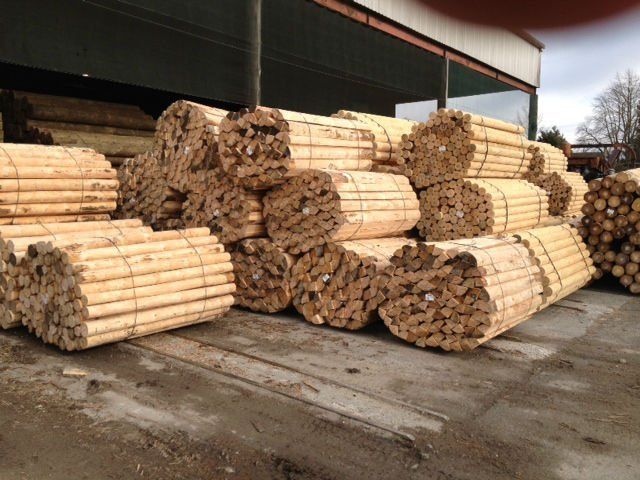 Company's Premium quality roundwood products