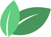 Two green leaves with a white stripe on a white background.