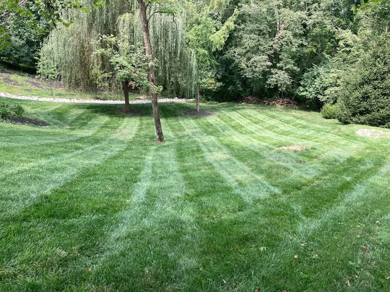 Lawn with striped pattern, trees in background, sunny day. Green grass, blue sky.