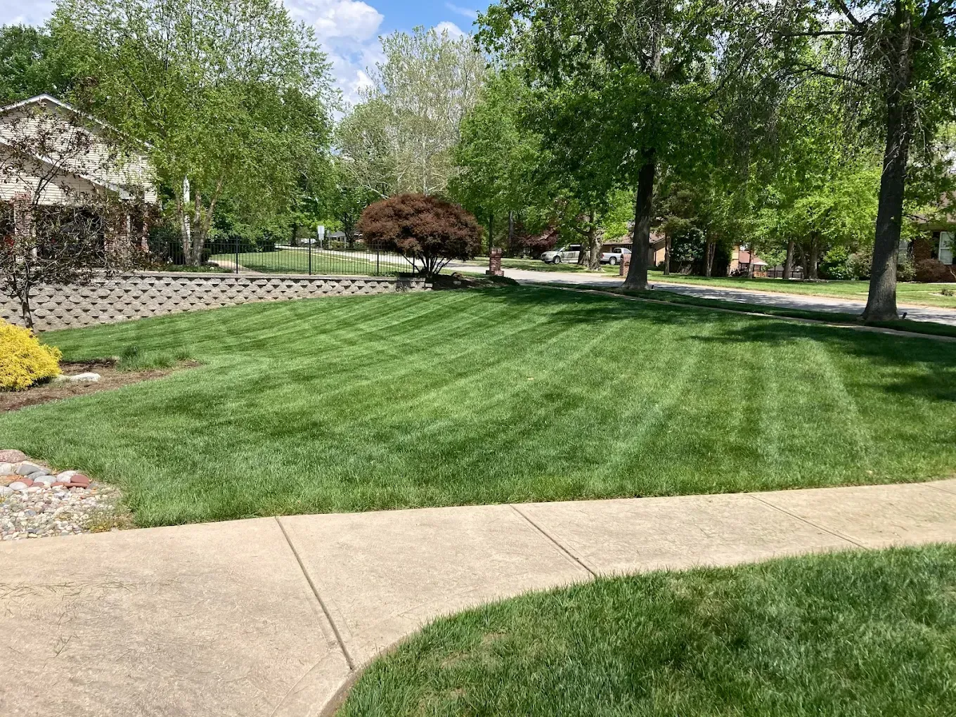 Lawn with striped pattern, bordered by a concrete walkway. Trees and a house are in the background. Sunny day.