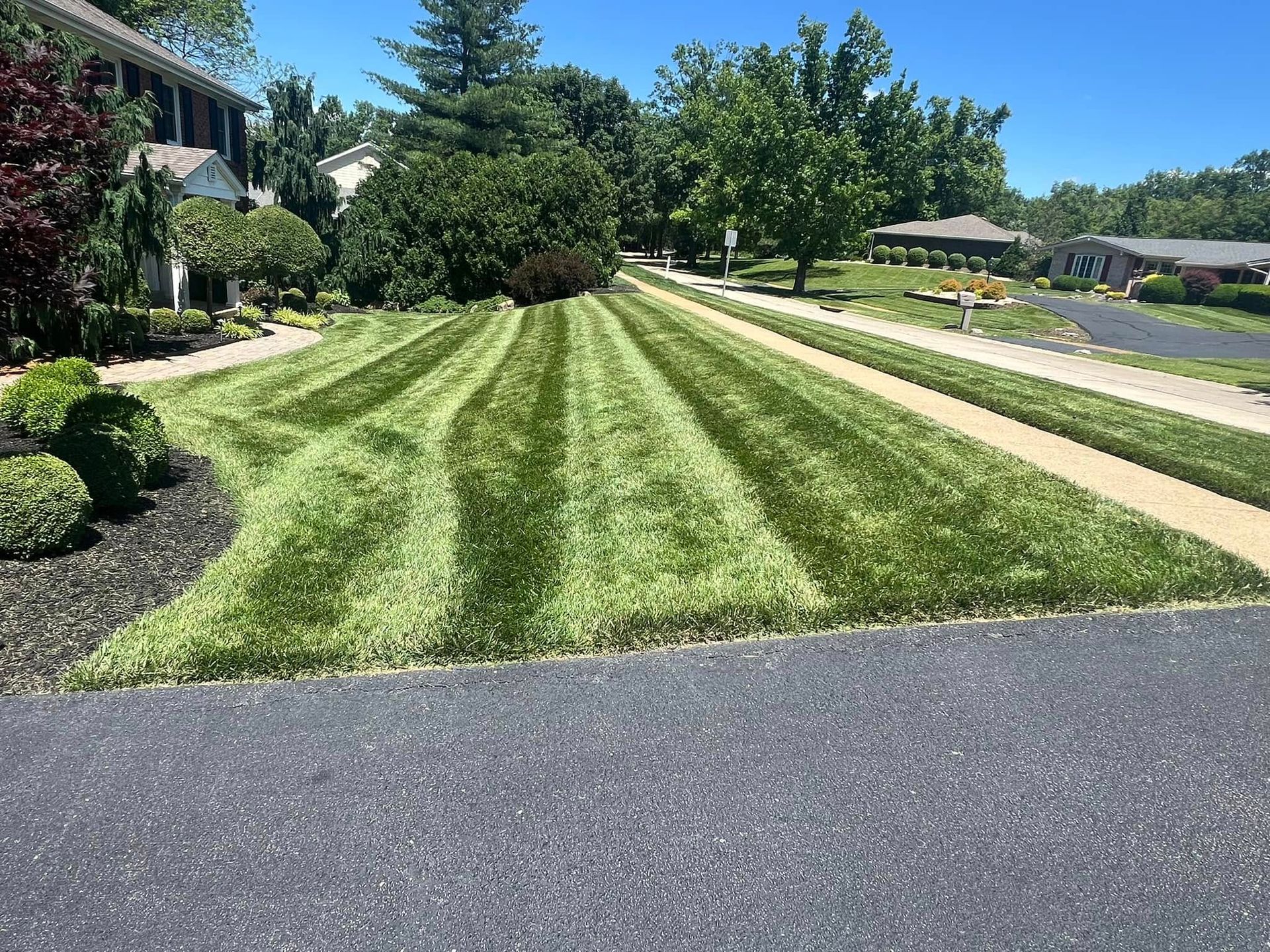 Lawn with alternating stripes of light and dark green, a well-manicured yard next to a paved driveway.