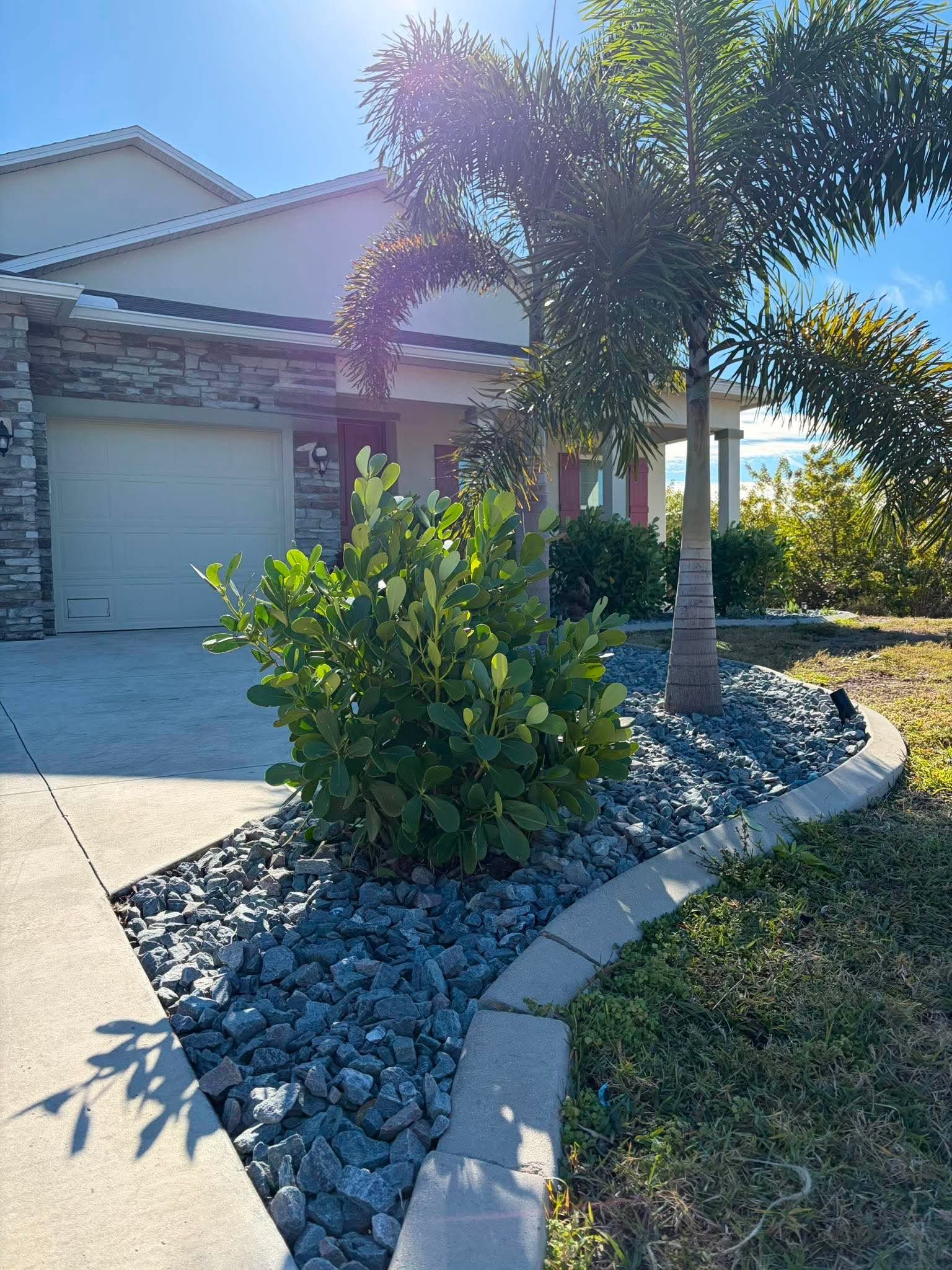 Front yard with palm tree, shrubs, rock landscaping, and a house garage in bright sunlight