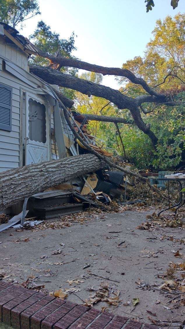 Tree fallen on a house, crushing the roof and porch. The setting is outdoors, with a sunny day and autumn leaves.