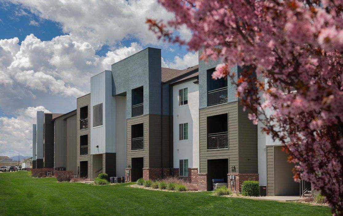 Exterior view of a modern apartment building with a green lawn and pink flowering tree in foreground.