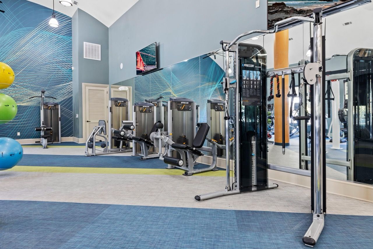 Modern community gym with cardio and strength machines.