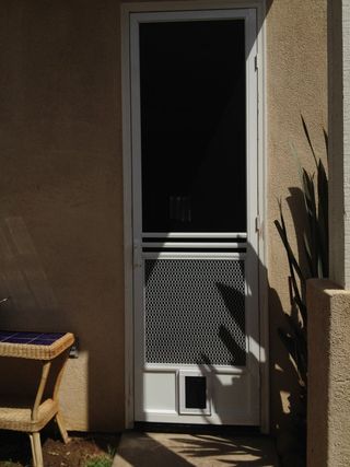 photo of swinging screen door with dog door