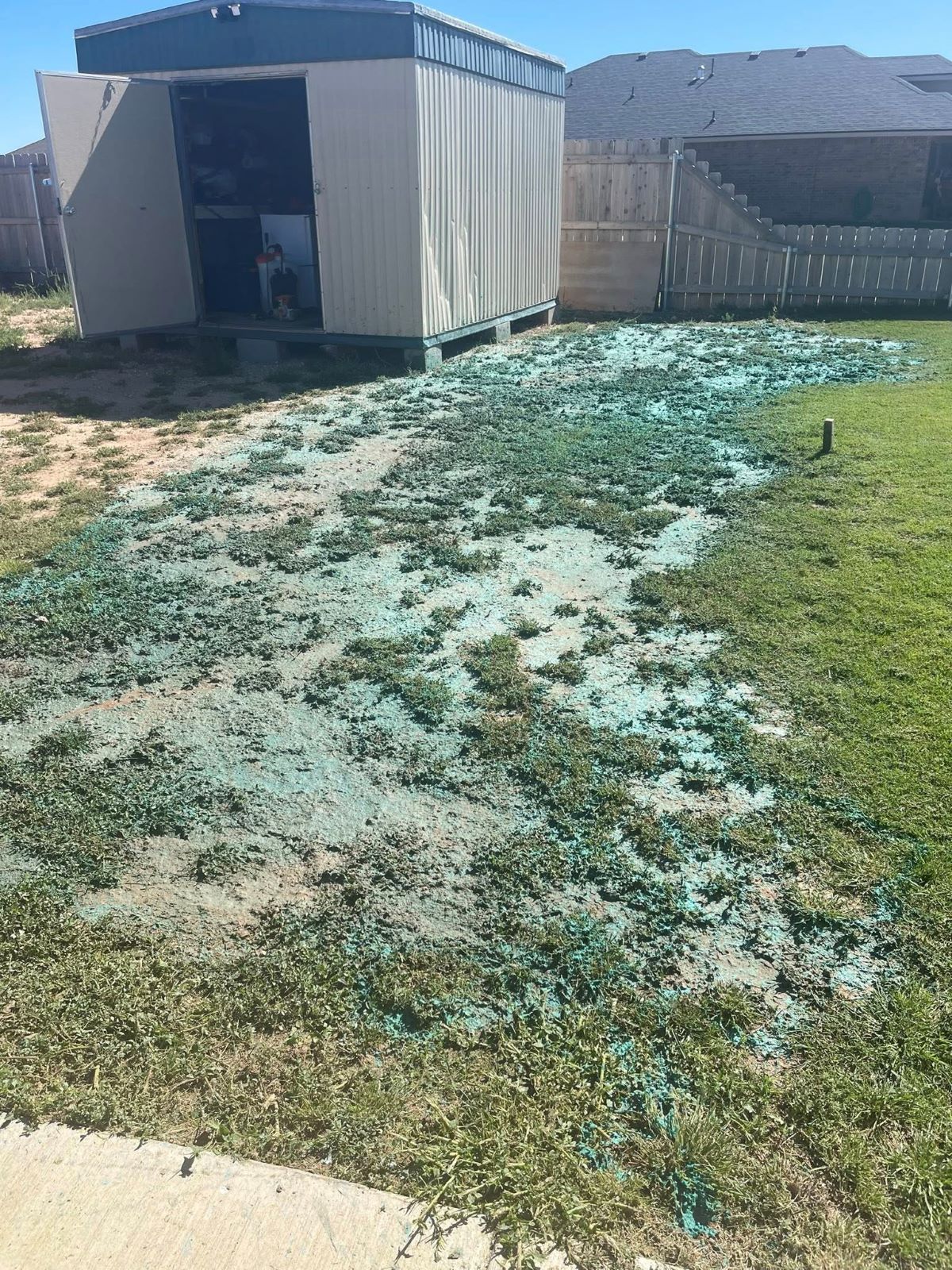 Yard with shed and patch of grass seeded with blue fertilizer.