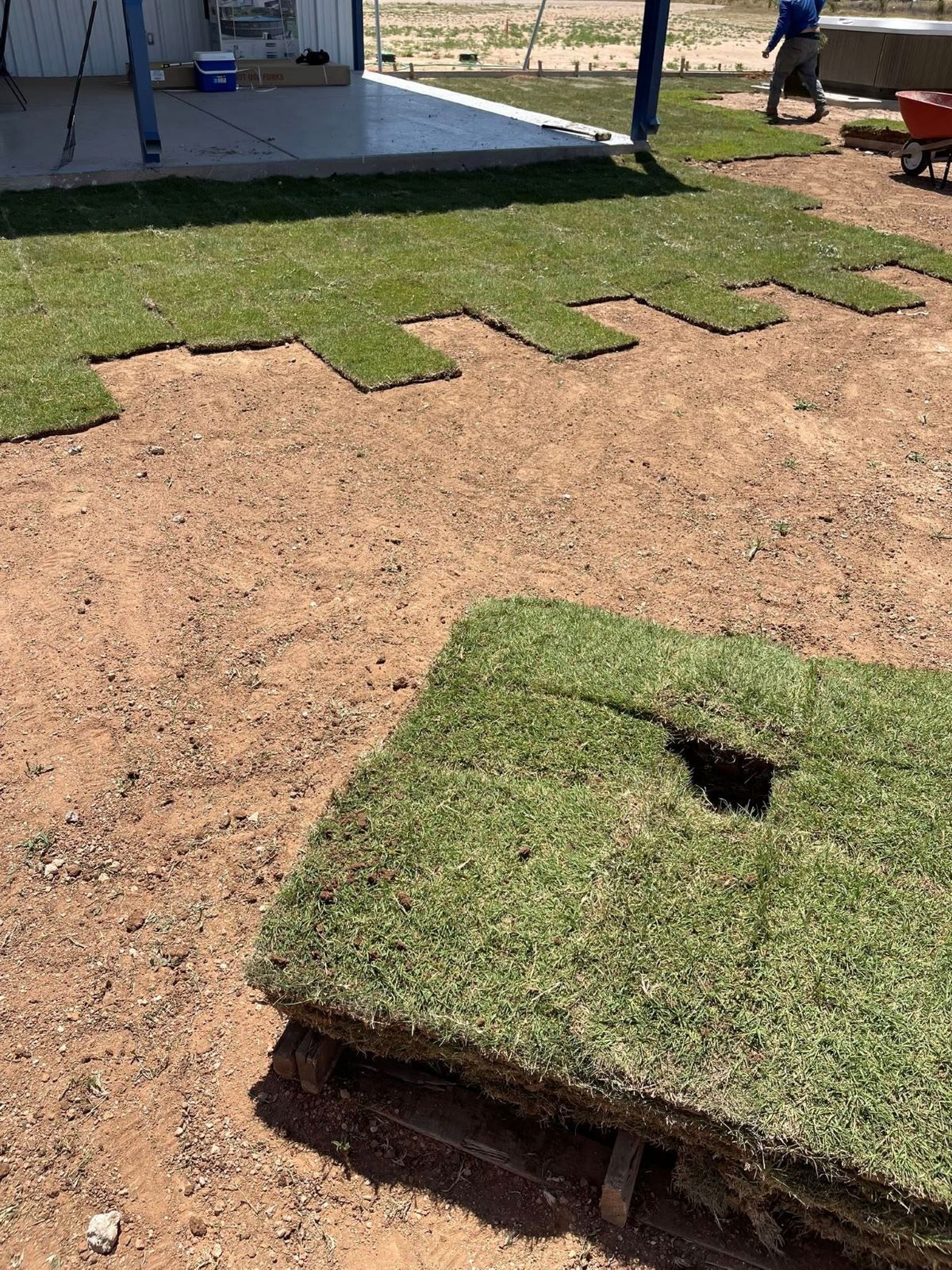 Laying sod in a yard. Patches of green grass on brown dirt with a person in the background.