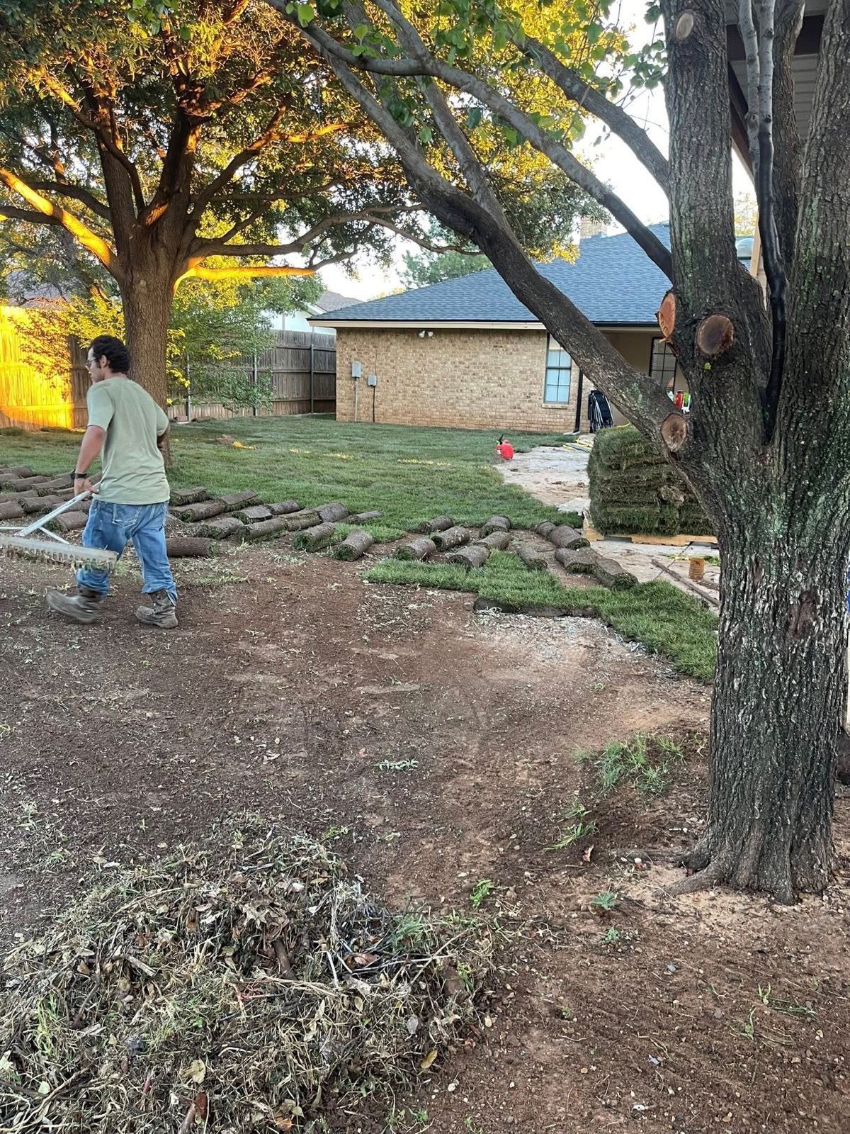 A person rakes sod in a yard with a house in the background and a large tree in the foreground.