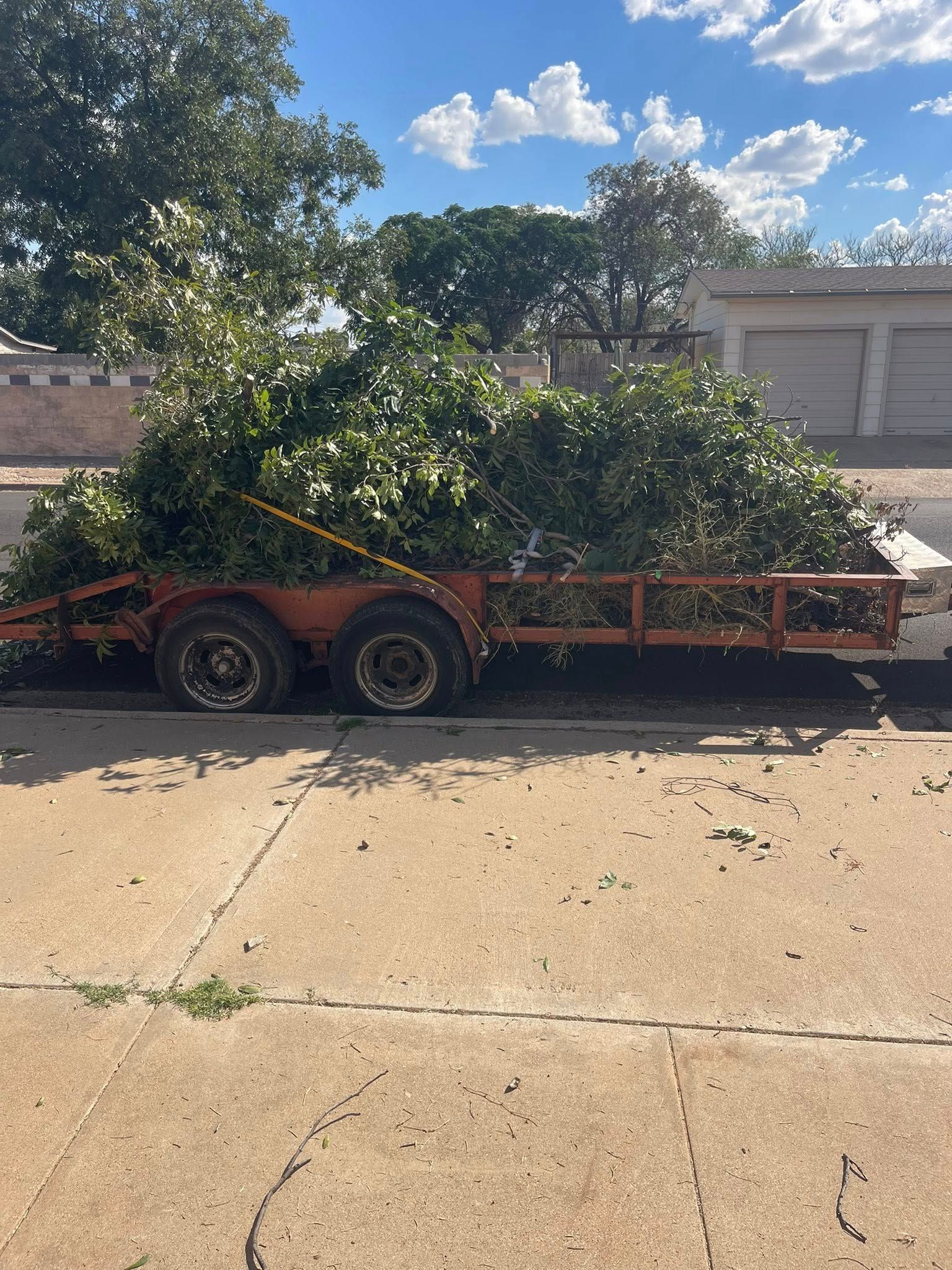 A trailer overflowing with freshly cut green tree branches parked on a concrete driveway under a blue sky.