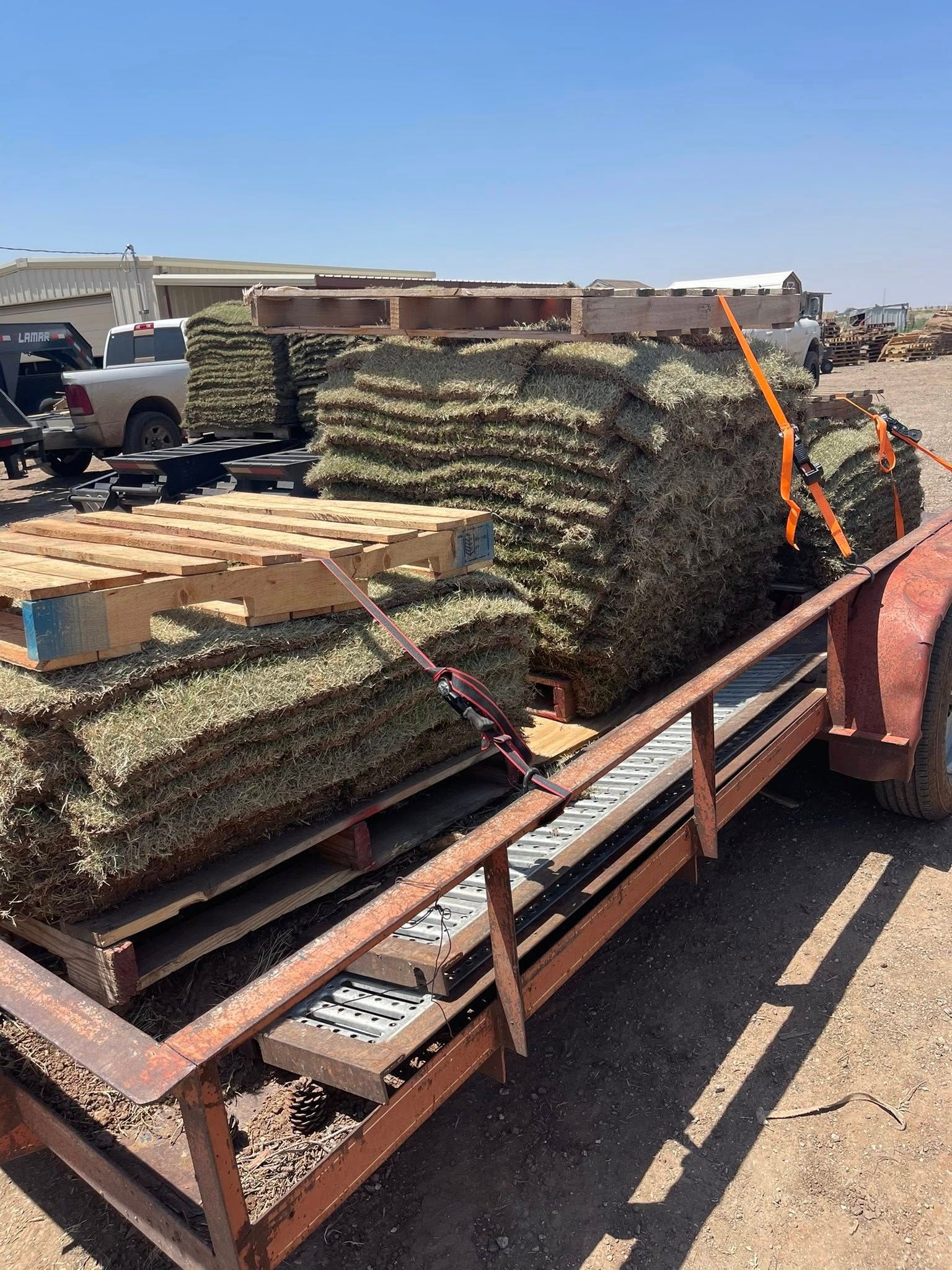 A trailer loaded with stacks of green pallets, secured with straps, in a sunny outdoor setting.