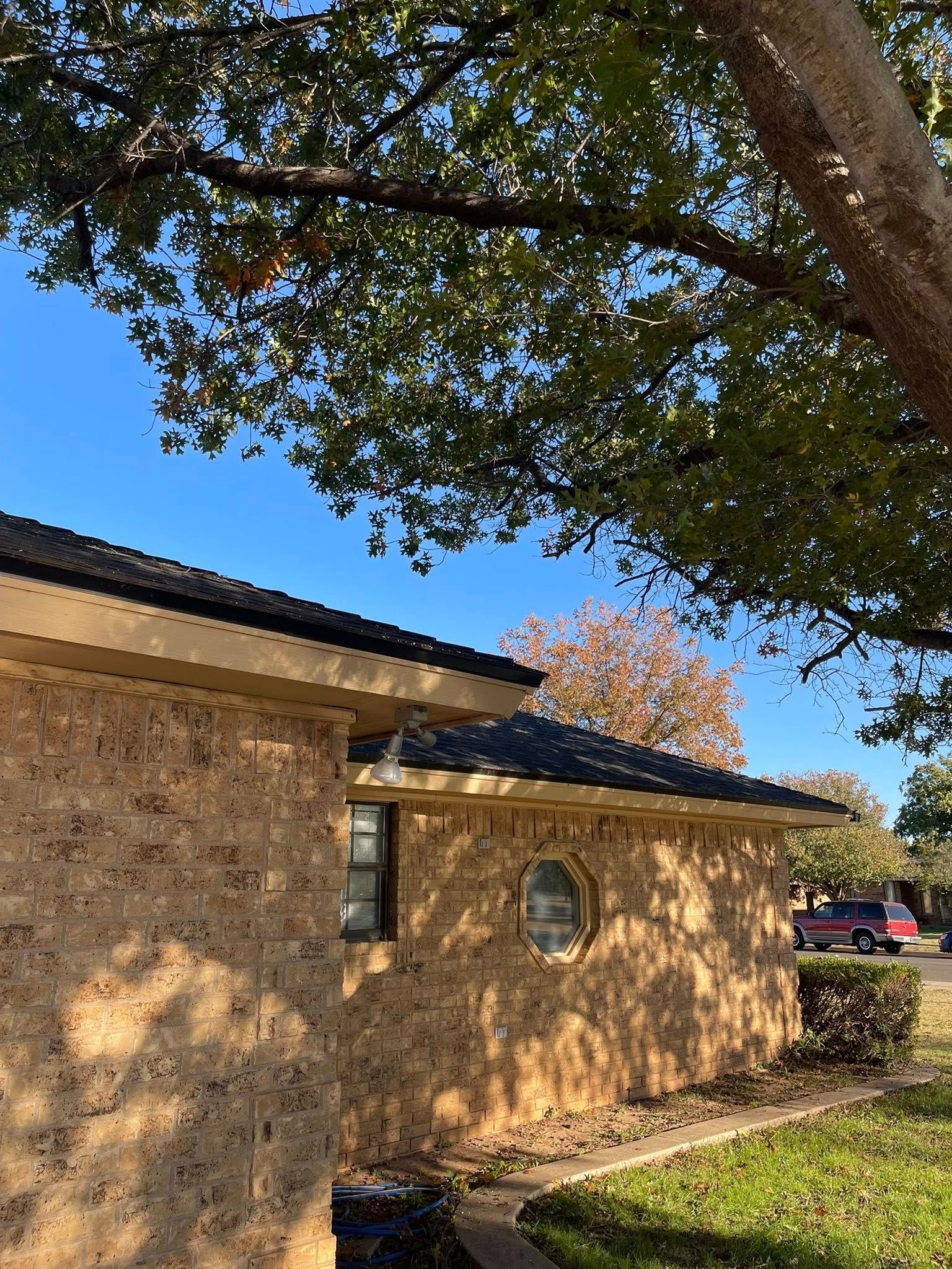 Brick building with black roof, small round window, tree branches, blue sky.