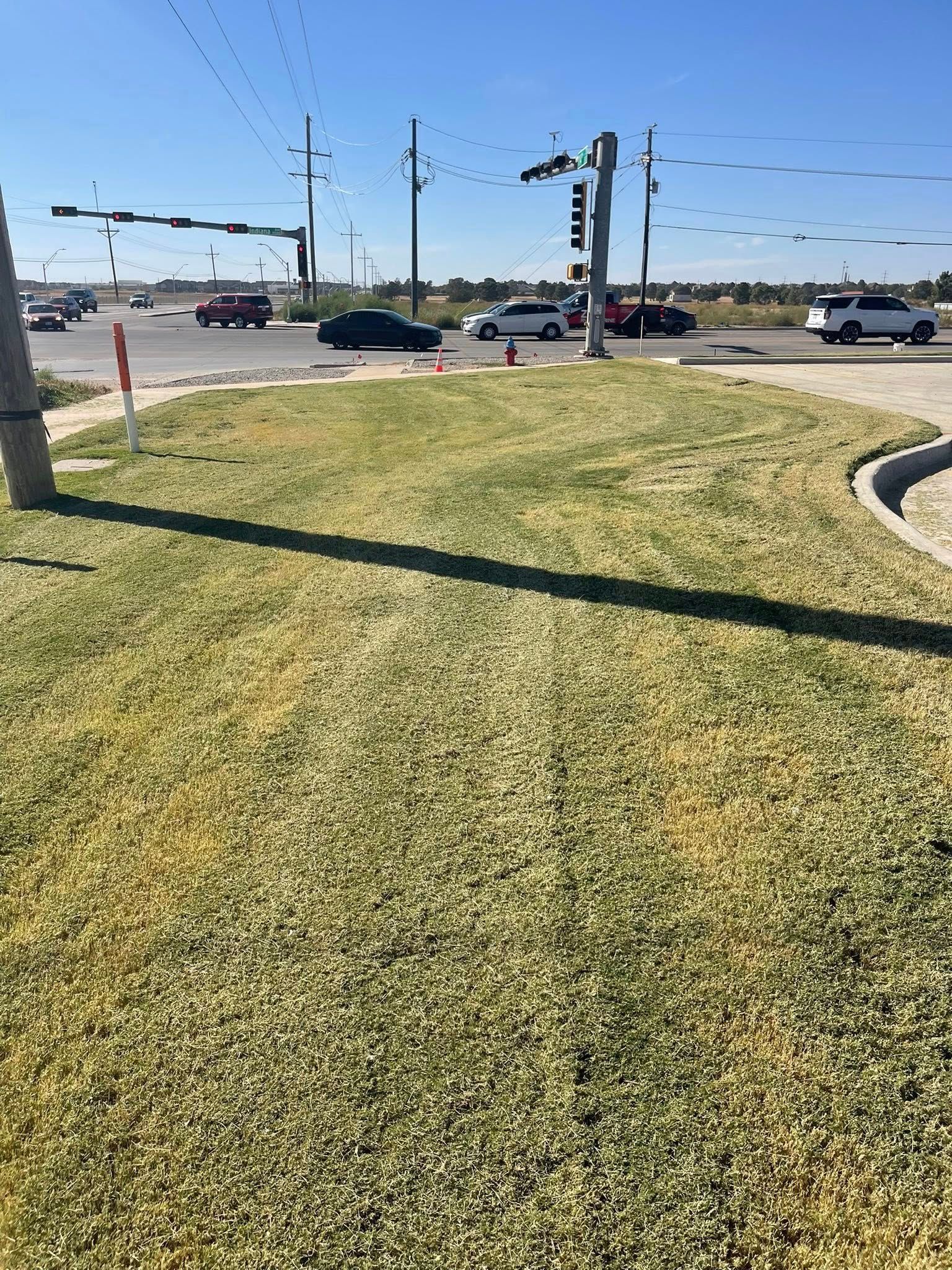 Green grass median strip with traffic in the background under a blue sky.