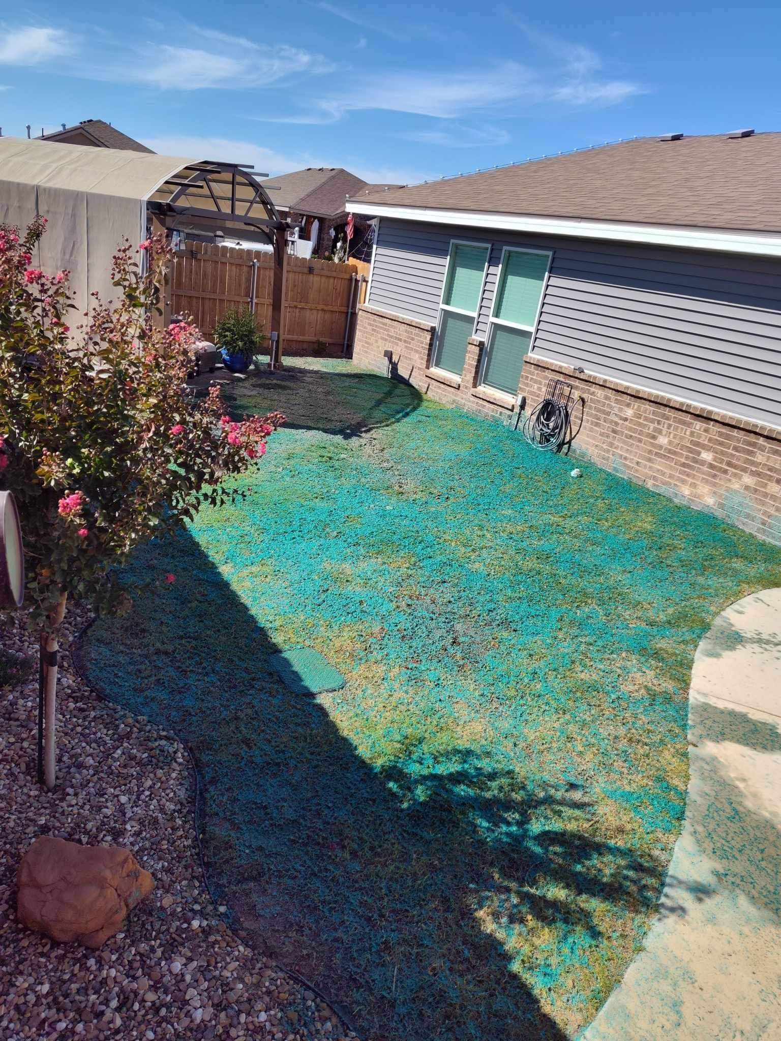Backyard with blue-tinted grass, bordered by a brick wall and wooden fence, under a blue sky.