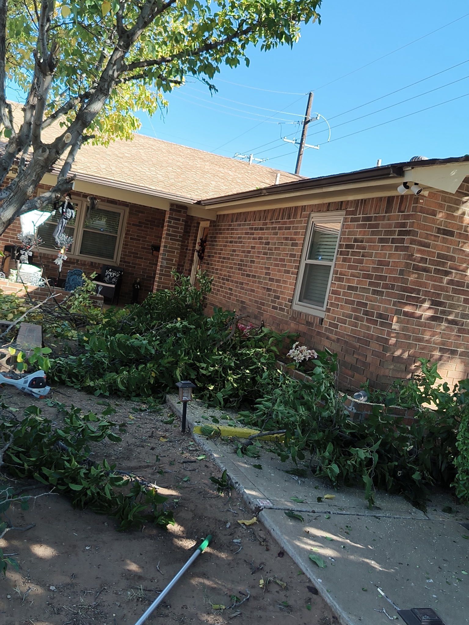 Brick house with a tilted foundation and overgrown bushes in front.