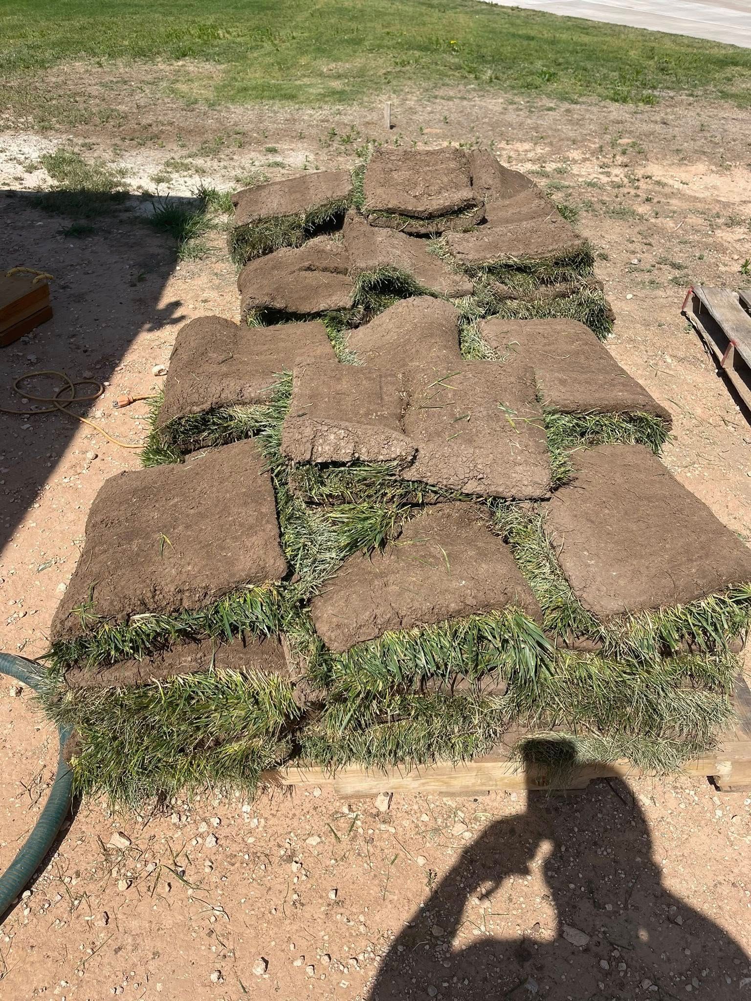 Stacks of sod on a wood pallet, in a dirt yard with a green hose nearby.