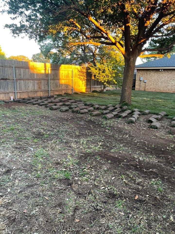 Yard with rolls of sod laid out, near a wooden fence and tree in evening sunlight.