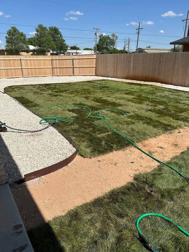 Backyard with freshly laid sod, gravel path, wooden fence, and green hose under a blue sky.