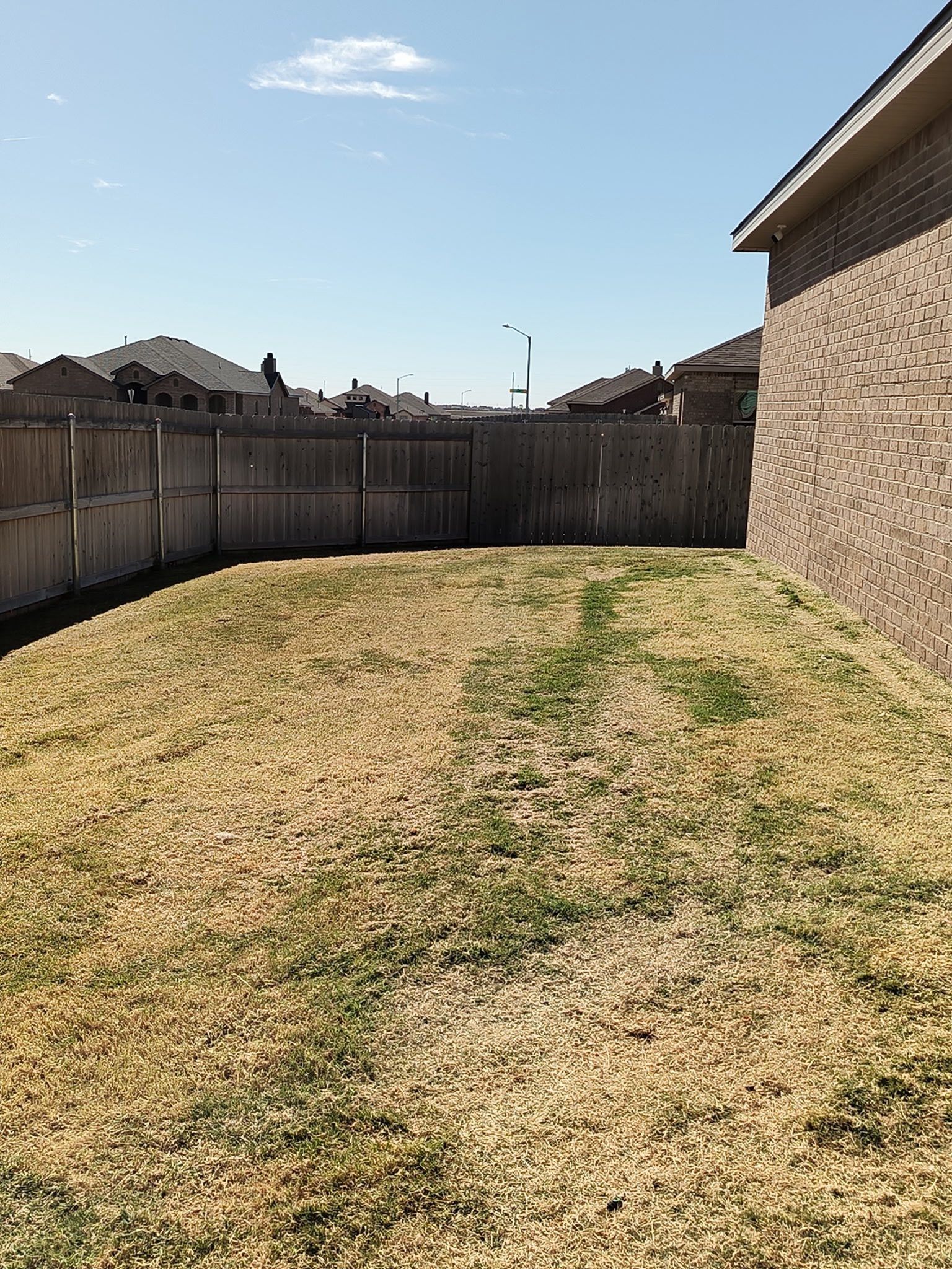 Grassy backyard with a wooden fence and brick house on a sunny day.