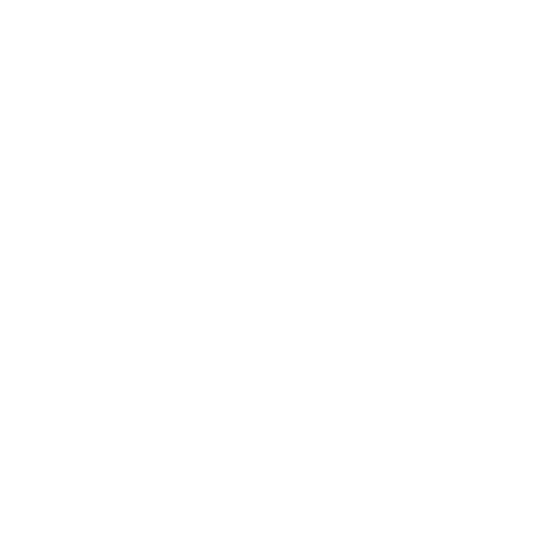 The Foot Care Center Logo Header