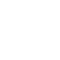 The Foot Care Center Logo Header