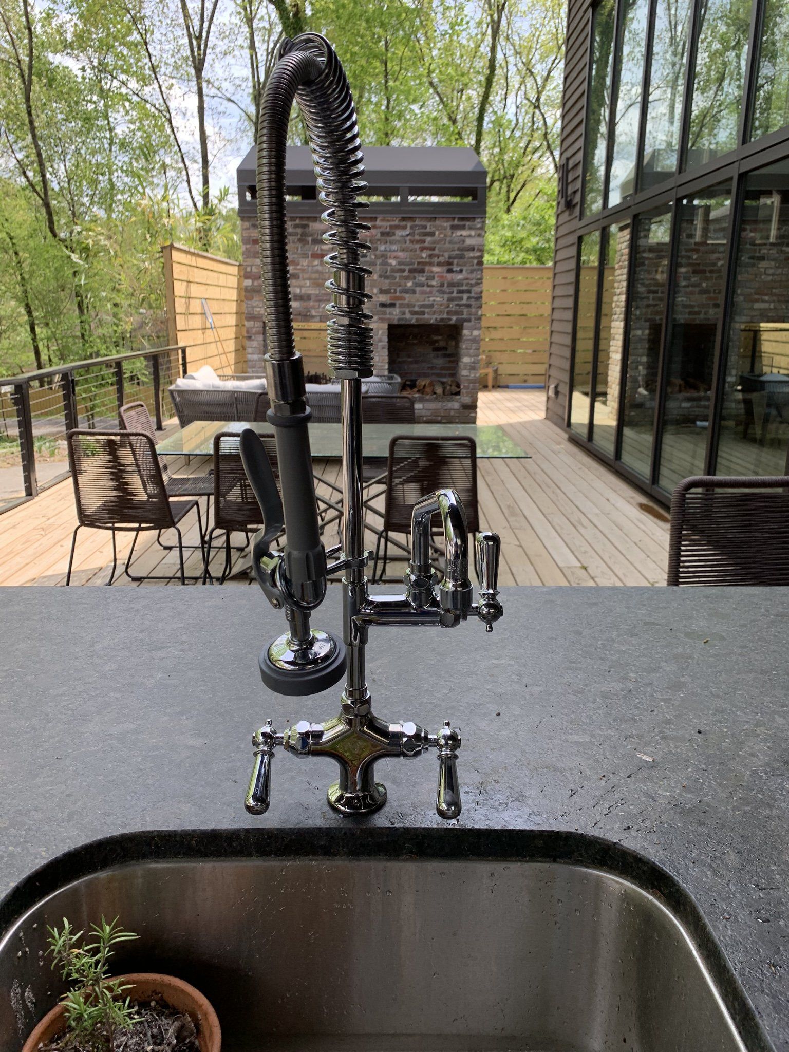 A kitchen sink with a faucet and a potted plant in it.